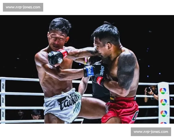 中国泰拳赛激烈对决精彩瞬间全景回顾与未来发展趋势分析